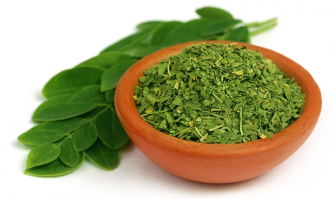 Moringa, el nuevo superalimento
