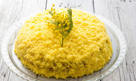 Pastel mimosa